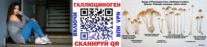 Галлюциногенные грибы Magic Shrooms  Купить  Вятские Поляны 